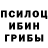 Псилоцибиновые грибы Psilocybine cubensis Mykolay Gretchenko