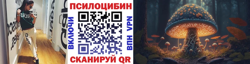 Псилоцибиновые грибы Psilocybine cubensis  Сыктывкар 